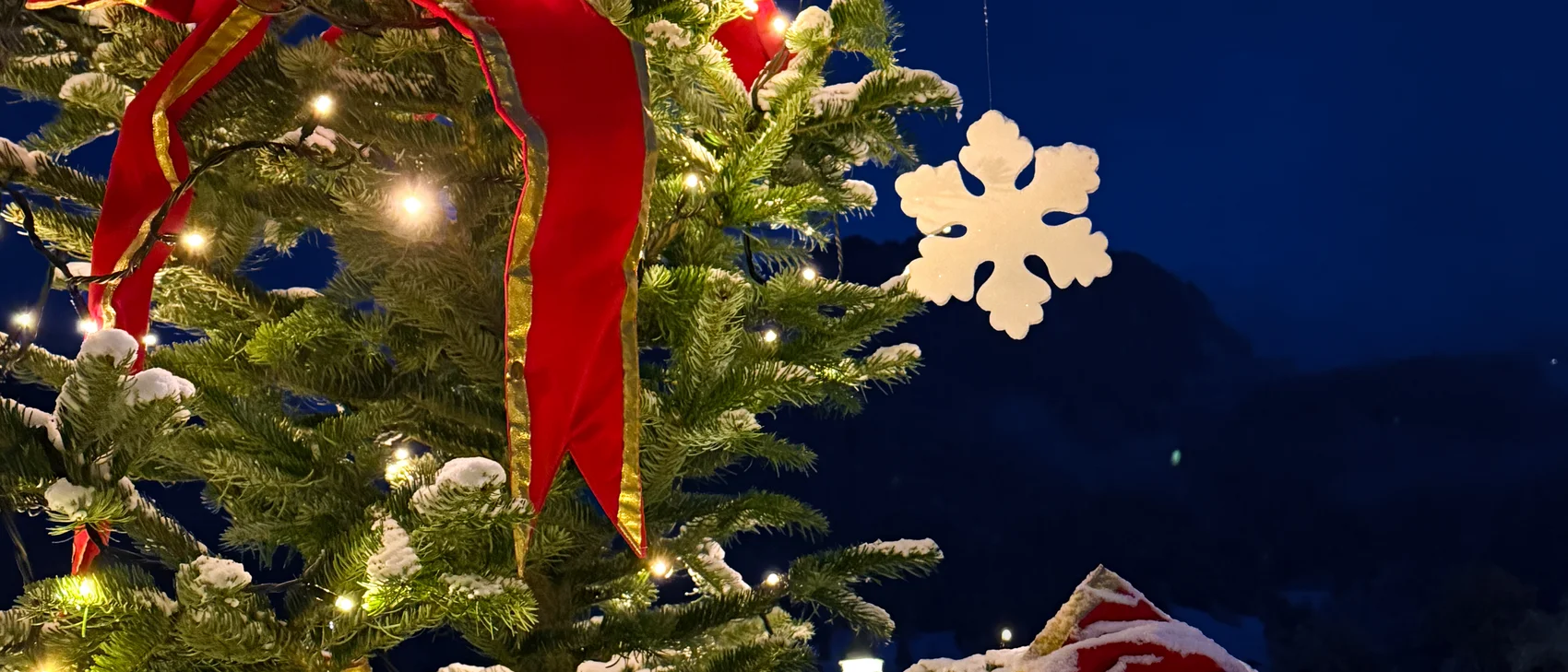 [Translate to Englisch:] Beschmückter Weihnachtsbaum am Abend