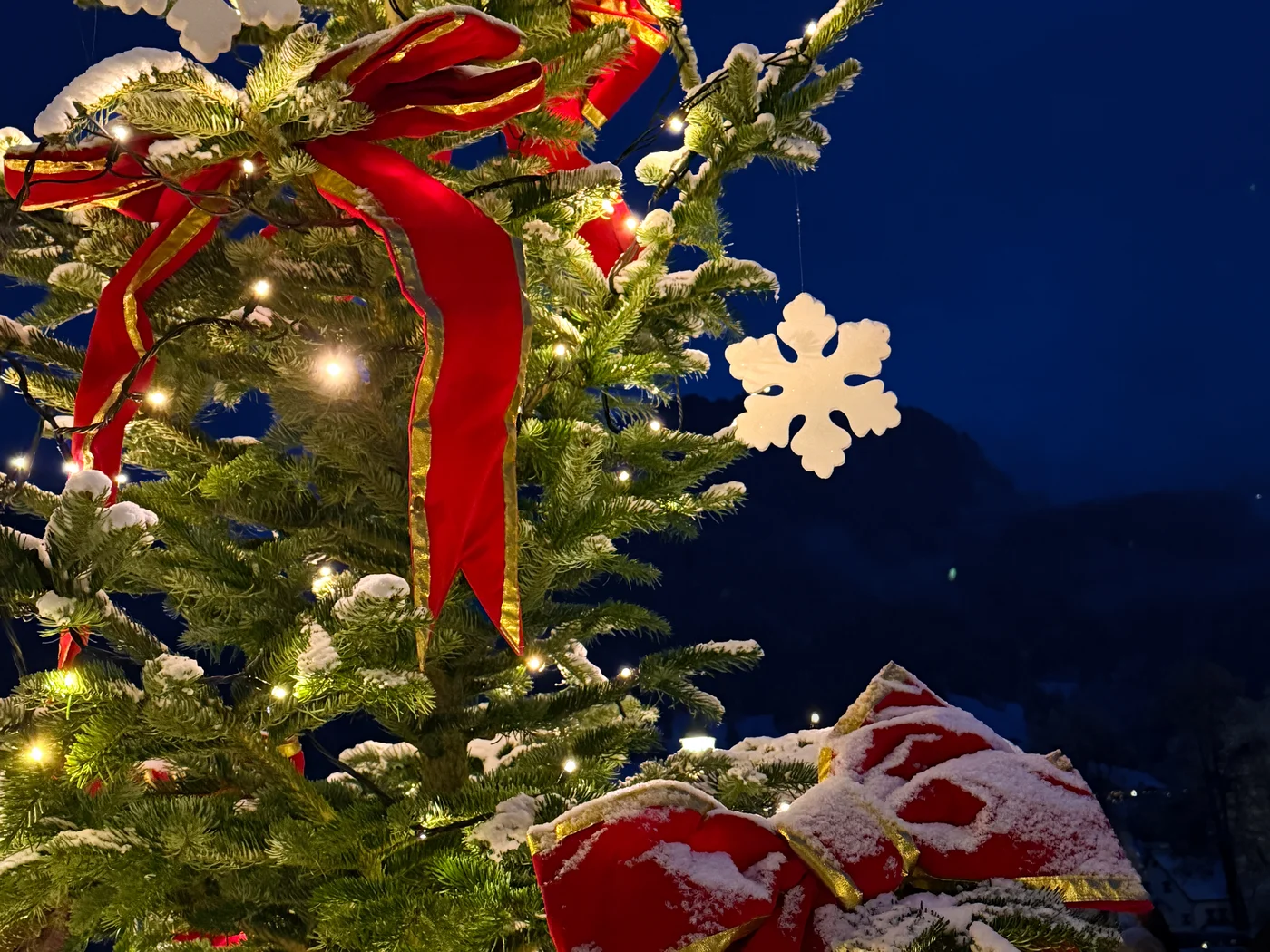 [Translate to Englisch:] Beschmückter Weihnachtsbaum am Abend