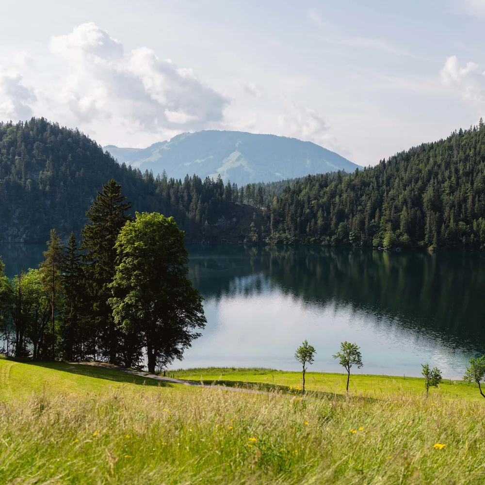 Blog Grüner Hügel mit Bäumen und See vor bewaldeten Bergen unter bewölktem Himmel