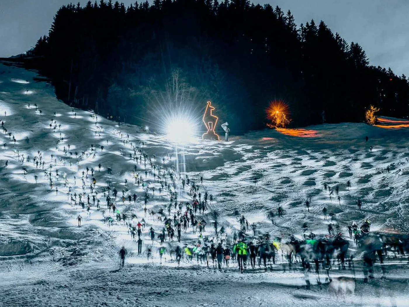 Night view of skiers on illuminated snowy slope with forest in background