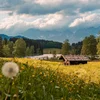 Der Sommer im Schlosshotel Kitzbühel