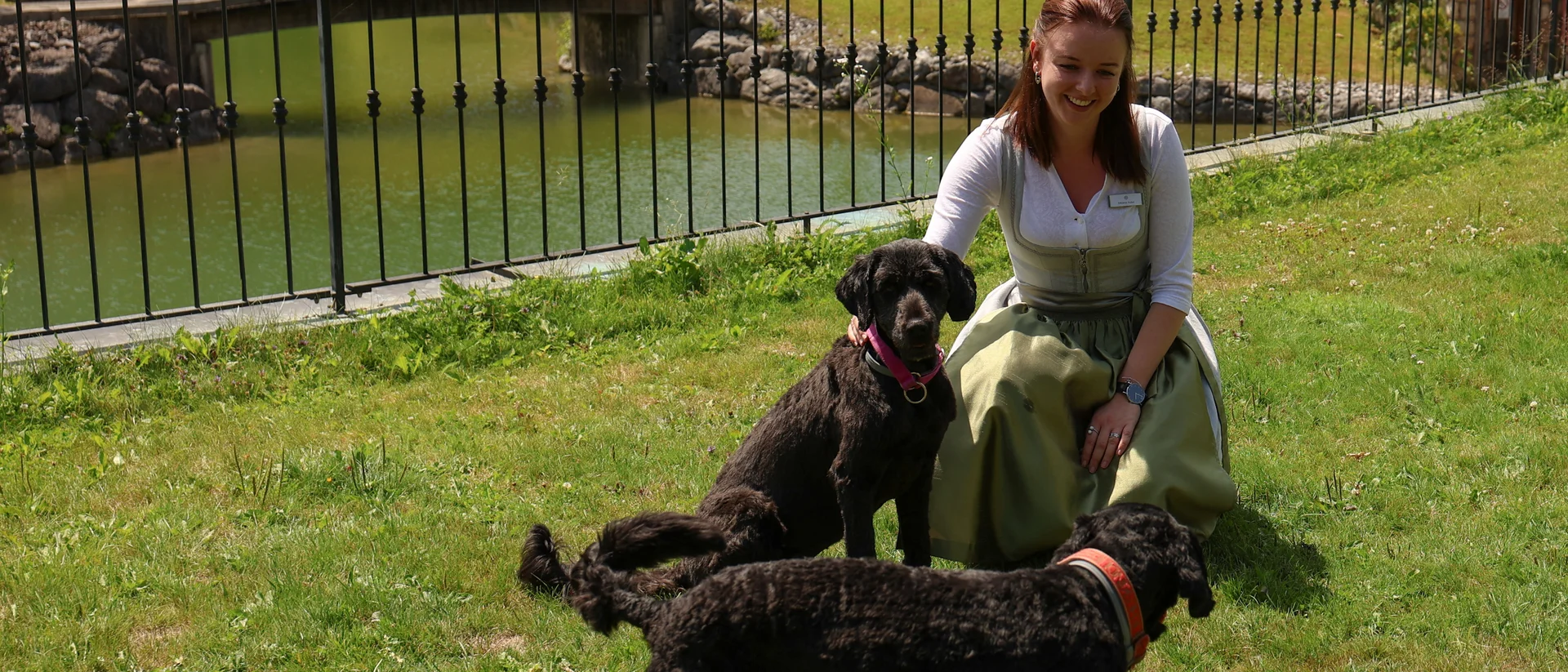 Besitzer mit zwei Hunden auf der Hundewiese Besitzer mit zwei Hunden auf der Hundewiese