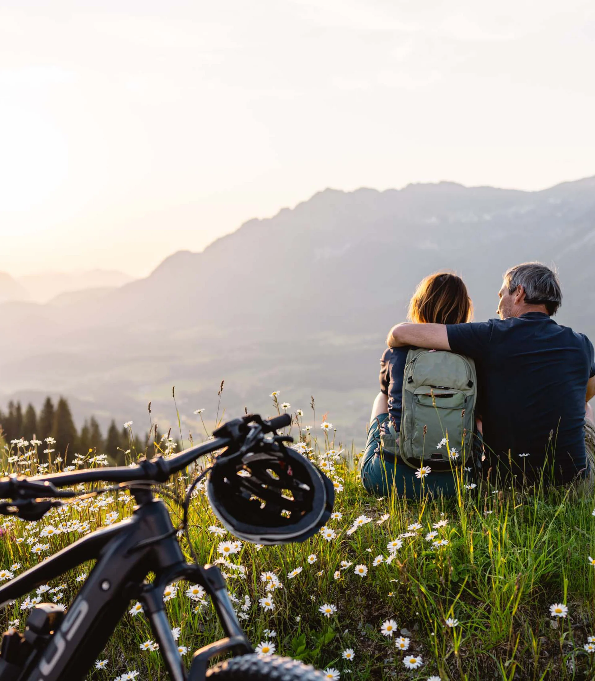 Ein ganzes Jahr in Bewegung