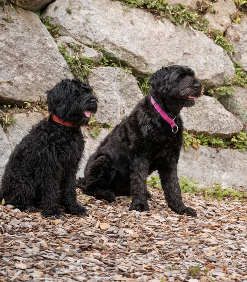 Schlosshotel Kitzbühel – un’esperienza deluxe