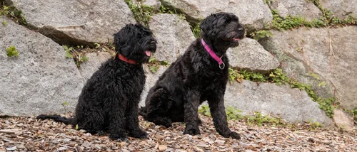 Schlosshotel Kitzbühel – un’esperienza deluxe