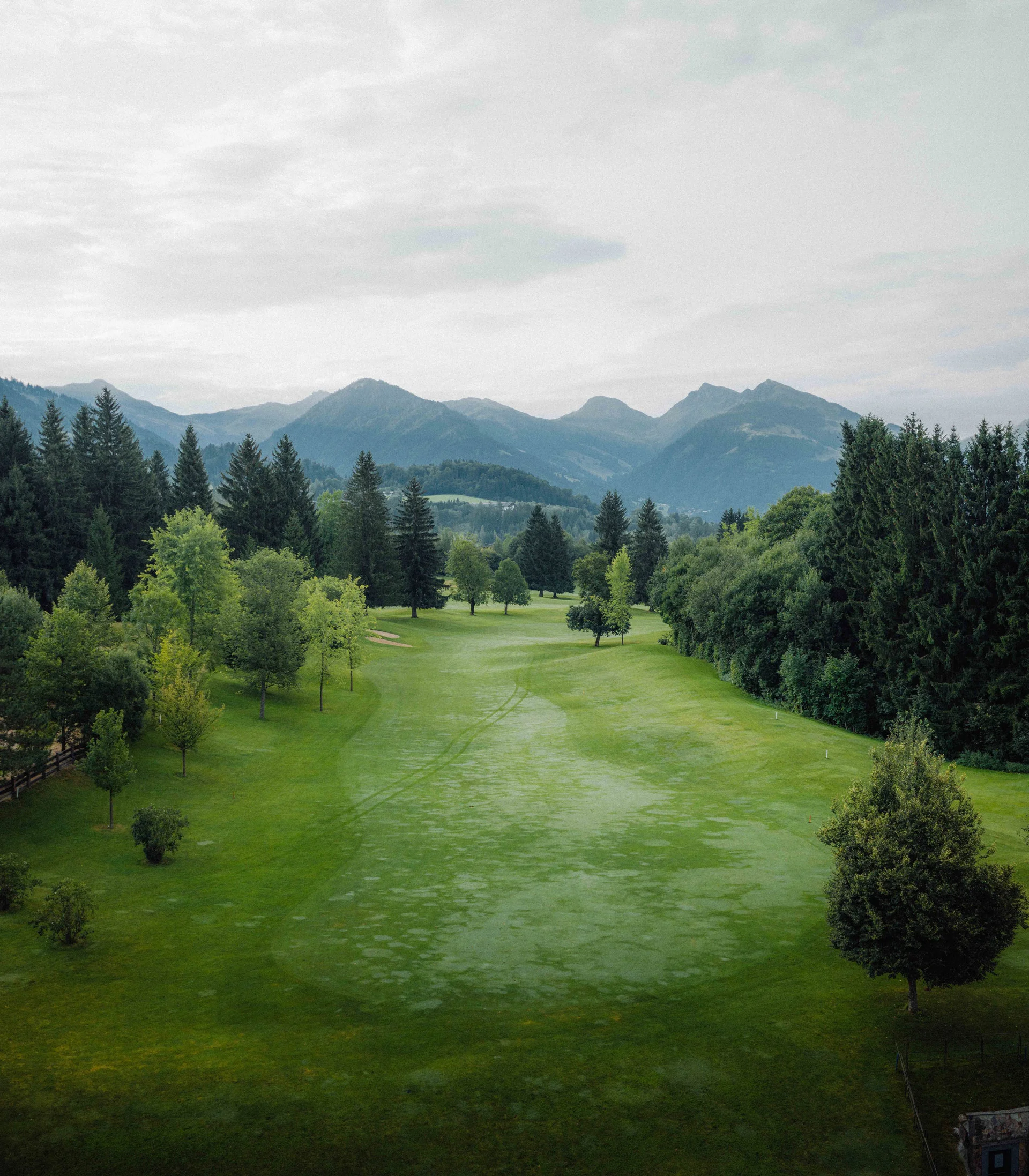 Blog Grüner Golfplatz mit Bäumen und Bergen im Hintergrund unter bewölktem Himmel