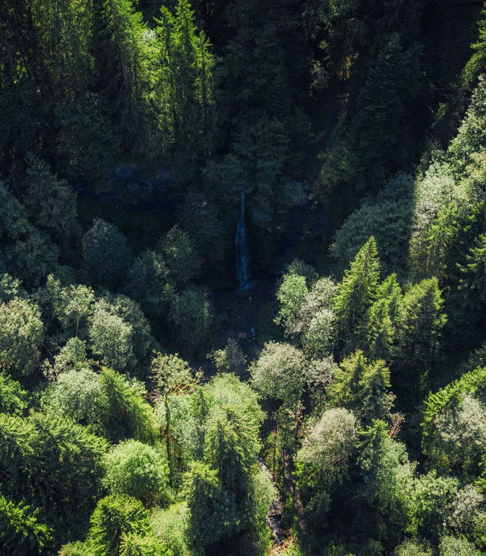 Wonach steht Ihnen heute der Sinn in Kitzbühel? Wonach steht Ihnen heute der Sinn in Kitzbühel?