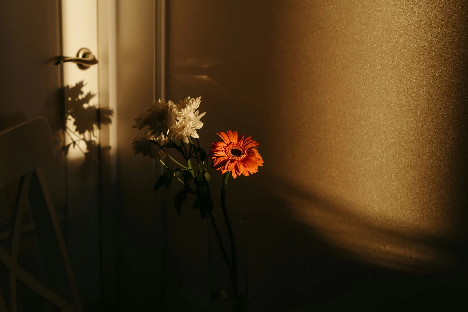 Bilder, die Sie sehen müssen.