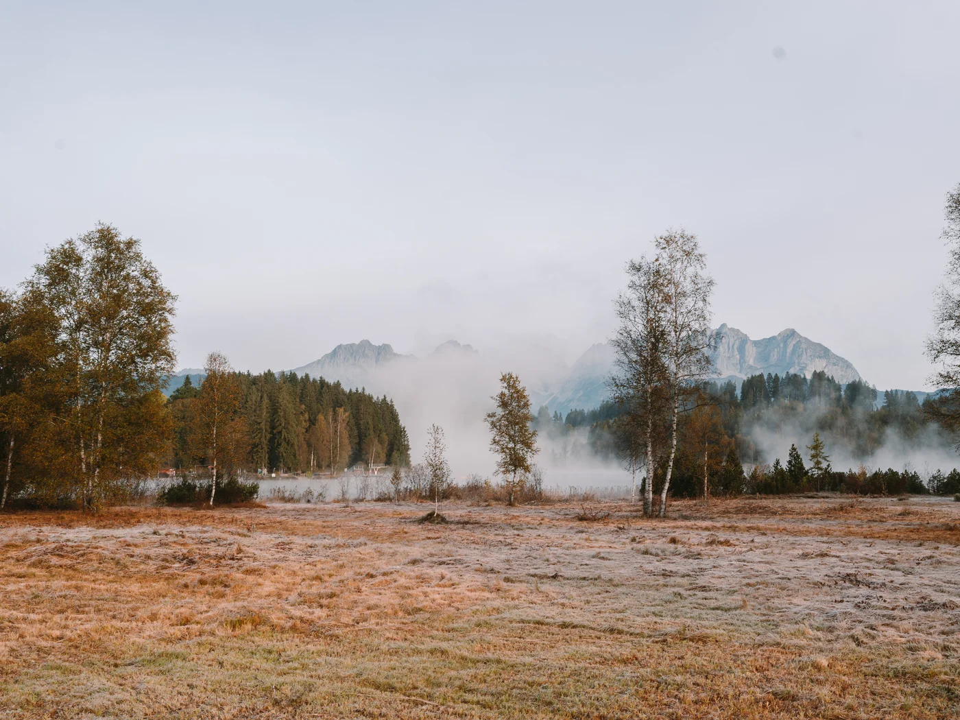 Wilder Kaiser im Herbstnebel Wilder Kaiser im Herbstnebel
