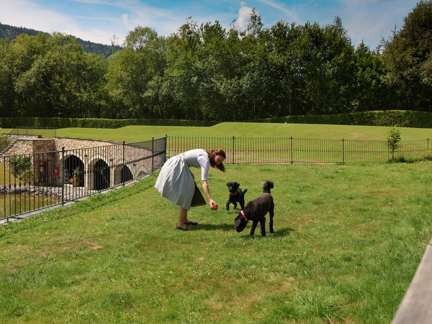 Hunde auf der Hundewiese Hunde auf der Hundewiese