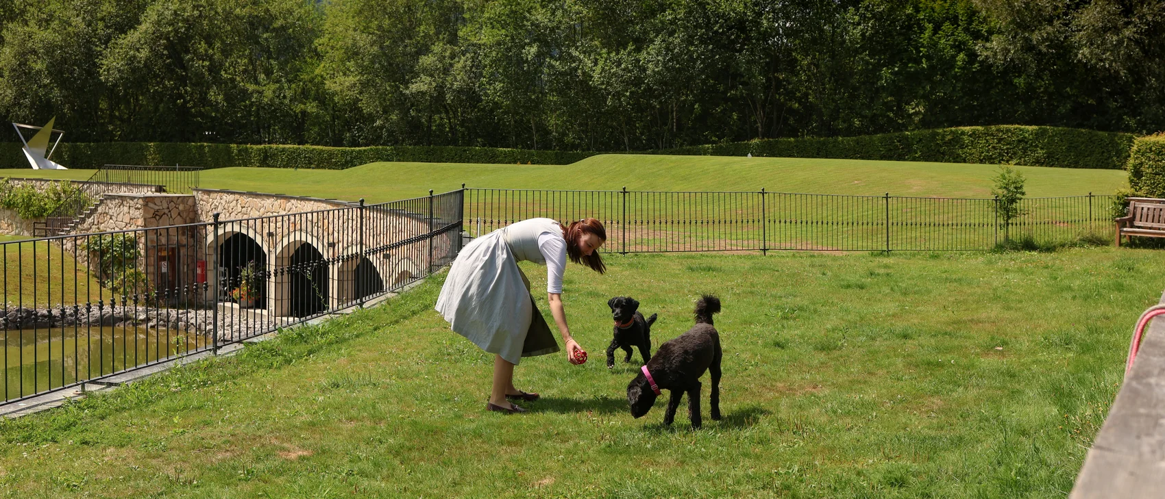 Hunde auf der Hundewiese Hunde auf der Hundewiese