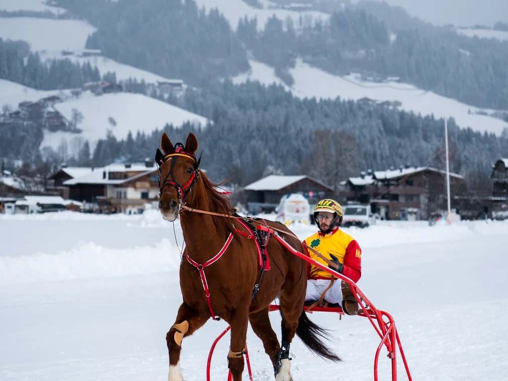 Harness racing horse and driver on snowy ice track in mountain landscape