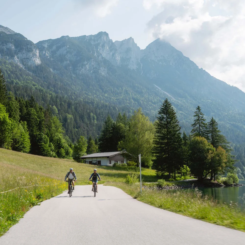 Ein ganzes Jahr in Bewegung