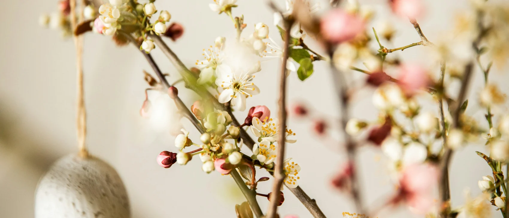 Vase mit blühenden Zweigen und aufgehängtem Osterei